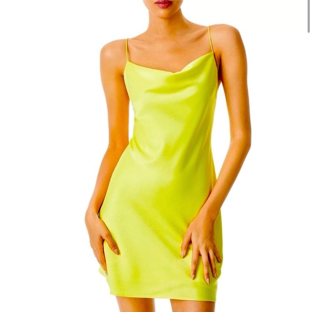 Alice + Olivia Harmony Mini Slip Dress NWOT